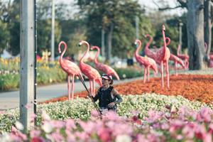 BIB: 
                            <button type="button" onclick="openModal(27344168)" class="btn btn-primary btn-sm float-right btn-popup" data-toggle="modal" data-target=".modal-high-quality">
                        <i class="fas fa-shopping-cart"></i> Add to Cart
                    </button>
                                            <button type="button" onclick="isThisMe(27344168, true)" class="btn btn-success btn-sm float-right btn-popup btn-isme hidden" data-toggle="tooltip" data-placement="bottom" title="นี่คือรูปของคุณใช่ไหม คลิกที่นี่เพื่อเอาเข้าอัลบั้ม">
                        <i class="fas fa-plus"></i> Add to album
                    </button>
                    <button type="button" onclick="isThisMe(27344168, false)" class="btn btn-warning btn-sm float-right btn-popup btn-isnotme hidden">
                        <i class="fas fa-ban"></i> Remove from album
                    </button>